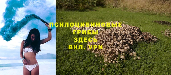 прущие грибы Абинск