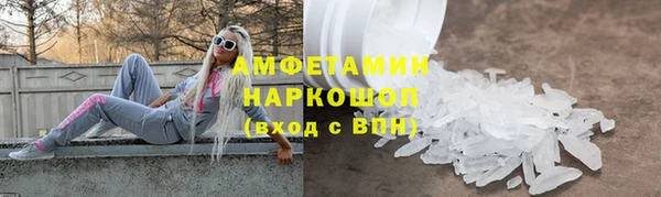 прущие грибы Абинск