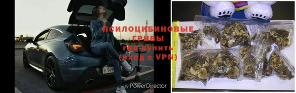 гашиш Абаза