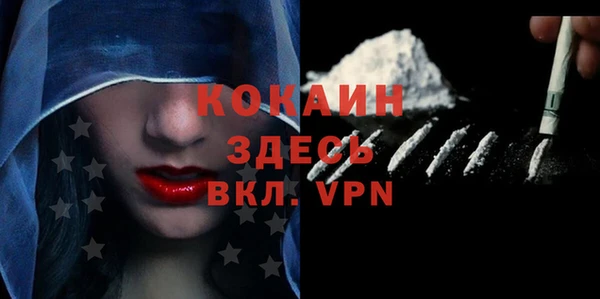 прущие грибы Абинск